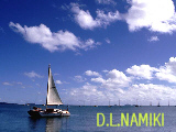 D.L.NAMIKI